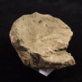 Japanese Natural Jomon Earthenware 81mm Artifact Shard 91.9g (ID:14736)