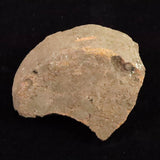 Japanese Natural Jomon Earthenware 81mm Artifact Shard 91.9g (ID:14736)