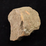 Japanese Natural Jomon Earthenware 81mm Artifact Shard 91.9g (ID:14736)