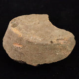 Japanese Natural Jomon Earthenware 81mm Artifact Shard 91.9g (ID:14736)