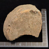 Japanese Natural Jomon Earthenware 81mm Artifact Shard 91.9g (ID:14736)