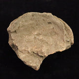 Japanese Natural Jomon Earthenware 81mm Artifact Shard 91.9g (ID:14736)