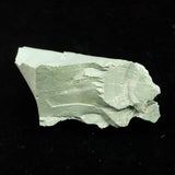 Izumo Jasper Rough Stone 36mm 12.4g with Directory Card (ID:17125)