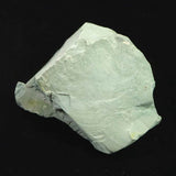 Izumo Jasper Rough Stone 44mm 44.2g with Directory Card (ID:17134)