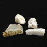 Japanese Natural Chalcedony 40mm Rough Stone Set of 4 82.5g (ID:17358)
