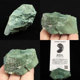 Izumo Jasper Rough Stone 53mm 52.4g with Directory Card (ID:25967)
