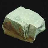 Izumo Jasper 39mm Rough Stone 43.8g (ID:26498)