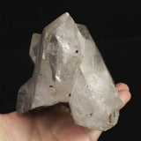 Japanese Natural Quartz Cluster D.T. Dolphin with Penetration イシス 444g (ID:30500)