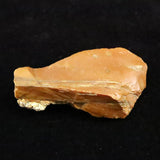 Japanese Natural Horokanai Town Petrified Wood Petrified Wood 68mm Rough Stone 45.3g (ID:31275)
