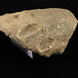 Japanese Natural Jomon Earthenware 76mm Artifact Shard 32.9g (ID:34359)
