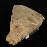 Japanese Natural Jomon Earthenware 76mm Artifact Shard 32.9g (ID:34359)