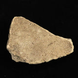 Japanese Natural Jomon Earthenware 76mm Artifact Shard 32.9g (ID:34359)