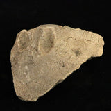Japanese Natural Jomon Earthenware 76mm Artifact Shard 32.9g (ID:34359)