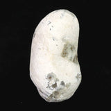 Japanese Natural Stalactitic Chalcedony 64mm Rough Stone 101g (ID:35852)