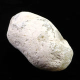 Japanese Natural Stalactitic Chalcedony 64mm Rough Stone 101g (ID:35852)