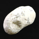 Japanese Natural Stalactitic Chalcedony 64mm Rough Stone 101g (ID:35852)