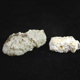 Japanese Natural 指状 Chalcedony Set of 2 Rough Stones 68.1g (ID:38666)