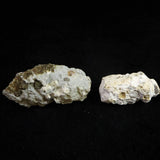 Japanese Natural Botryoidal Chalcedony Set of 2 Rough Stones 68.1g (ID:38666)