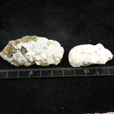 Japanese Natural 指状 Chalcedony Set of 2 Rough Stones 68.1g (ID:38666)