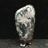Japanese Natural Chrysanthemum Stone Rough Stone 101.2g (ID:39050)