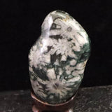 Japanese Natural Chrysanthemum Stone Rough Stone 101.2g (ID:39050)