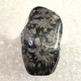 Japanese Natural Chrysanthemum Stone Rough Stone 101.2g (ID:39050)