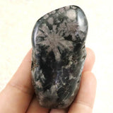Japanese Natural Chrysanthemum Stone Rough Stone 101.2g (ID:39050)