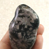 Japanese Natural Chrysanthemum Stone Rough Stone 101.2g (ID:39050)