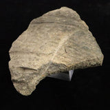 Japanese Natural Jomon Earthenware 64mm Artifact Shard 43.0g (ID:40500)