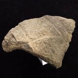 Japanese Natural Jomon Earthenware 64mm Artifact Shard 43.0g (ID:40500)