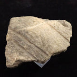 Japanese Natural Jomon Earthenware 64mm Artifact Shard 43.0g (ID:40500)