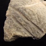 Japanese Natural Jomon Earthenware 64mm Artifact Shard 43.0g (ID:40500)