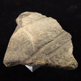 Japanese Natural Jomon Earthenware 64mm Artifact Shard 43.0g (ID:40500)