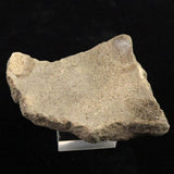 Japanese Natural Jomon Earthenware 64mm Artifact Shard 43.0g (ID:40500)