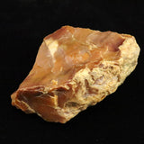 Japanese Natural Horokanai Town Petrified Wood Petrified Wood 111mm Rough Stone 282.4g (ID:42271)