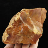 Japanese Natural Horokanai Town Petrified Wood Petrified Wood 111mm Rough Stone 282.4g (ID:42271)