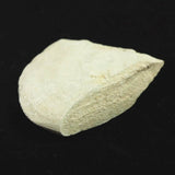 Japanese Natural Polished Stone 43mm Lithic Artifact 18.5g (ID:42709)