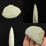 Japanese Natural Polished Stone 43mm Lithic Artifact 18.5g (ID:42709)