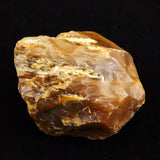 Japanese Natural Horokanai Town Petrified Wood Petrified Wood 58mm Rough Stone 112.7g (ID:46120)
