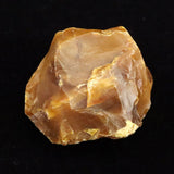 Japanese Natural Horokanai Town Petrified Wood Petrified Wood 58mm Rough Stone 112.7g (ID:46120)