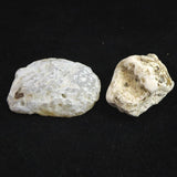 Japanese Natural Chalcedony Set of 2 Rough Stones 70.3g (ID:46166)