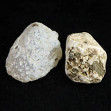 Japanese Natural Chalcedony Set of 2 Rough Stones 70.3g (ID:46166)