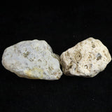Japanese Natural Chalcedony Set of 2 Rough Stones 70.3g (ID:46166)