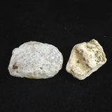 Japanese Natural Chalcedony Set of 2 Rough Stones 70.3g (ID:46166)