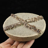 Japanese Natural Glendonite Ikaite 100mm Rough Stone Rare Stone 510g (ID:46867)