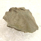 Japanese Natural Siliceous Shale Lithic 47mm Lithic Artifact 12.3g (ID:60486)