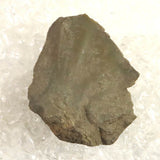 Japanese Natural Siliceous Shale Lithic 47mm Lithic Artifact 12.3g (ID:60486)