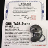 Japanese Natural Omi Taga Stone 33mm Magatama 13.1g (ID:61898)