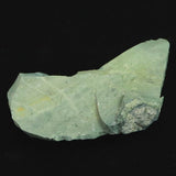 Izumo Jasper Rough Stone 60mm 35.4g with Directory Card (ID:64241)