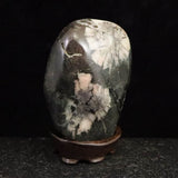 Japanese Natural Chrysanthemum Stone Rough Stone 312.5g (ID:65452)